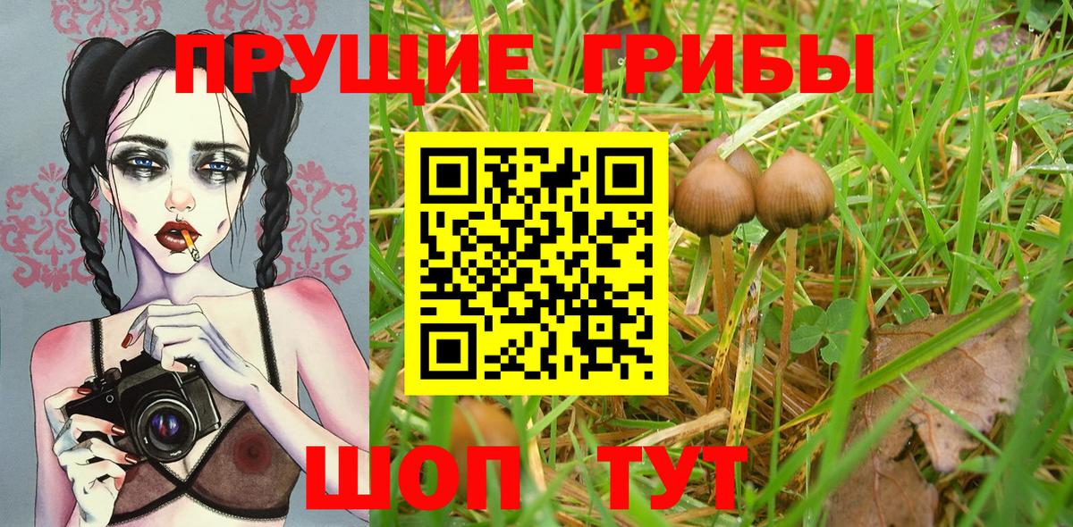Псилоцибиновые грибы GOLDEN TEACHER Пенза