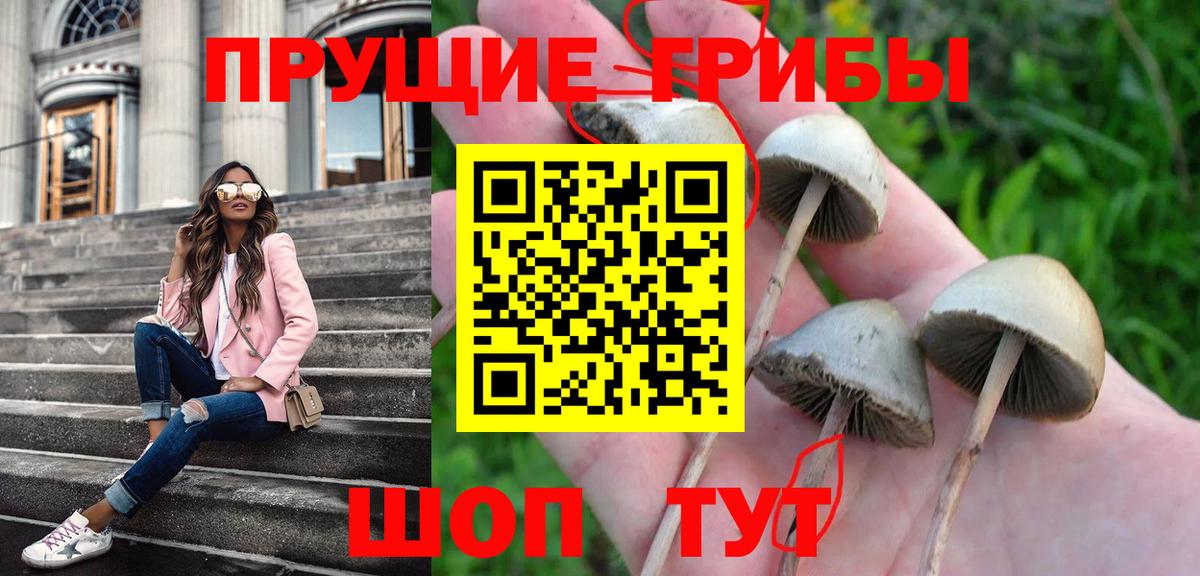 Пенза  Псилоцибиновые грибы Magic Shrooms  Вход с VPN 